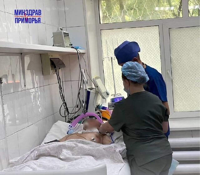 В Приморье водитель из-за укуса шершня потерял сознание, а затем влетел в столб - PRIMPRESS, 01.07.2025