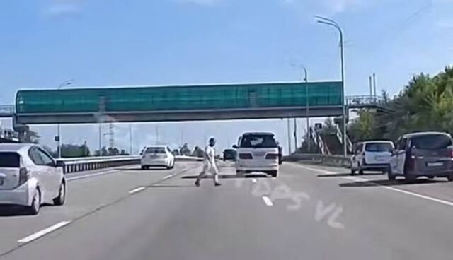 Опасное поведение мужчины на трассе в пригороде Владивостока едва не привело к аварии Опасное поведение мужчины на трассе в пригороде Владивостока едва не привело к аварии - PRIMPRESS, 06.07.2025