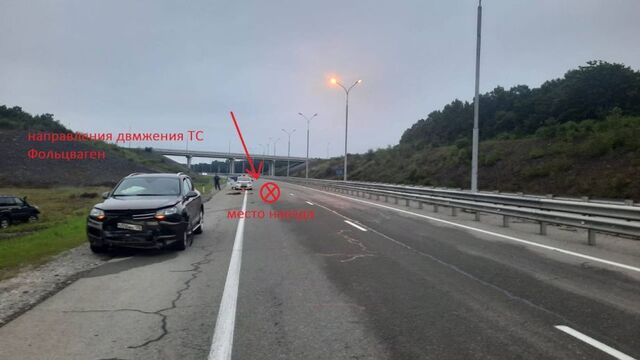Ехал слишком быстро: появились подробности автоаварии с тигром - PRIMPRESS, 26.07.2025
