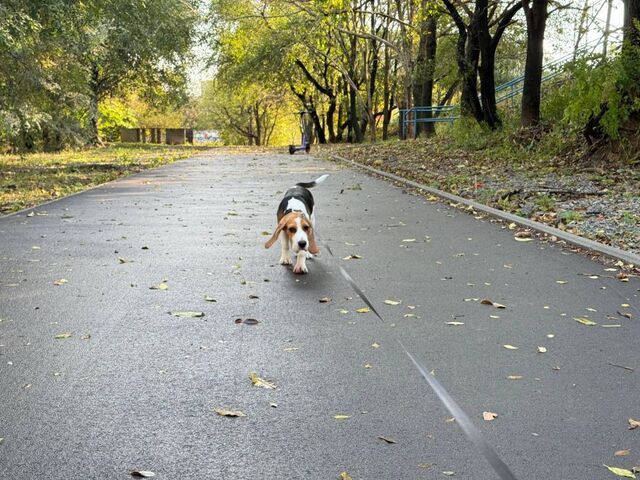 Готовьтесь: приморские синоптики рассказали, какой будет погода в длинные ноябрьские выходные Готовьтесь: приморские синоптики рассказали, какой будет погода в длинные ноябрьские выходные - PRIMPRESS, 31.10.2025