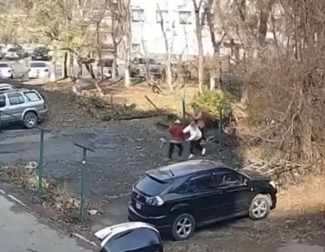 Пенсионерка с бревном напала на соседок в центре Владивостока - PRIMPRESS, 03.11.2025