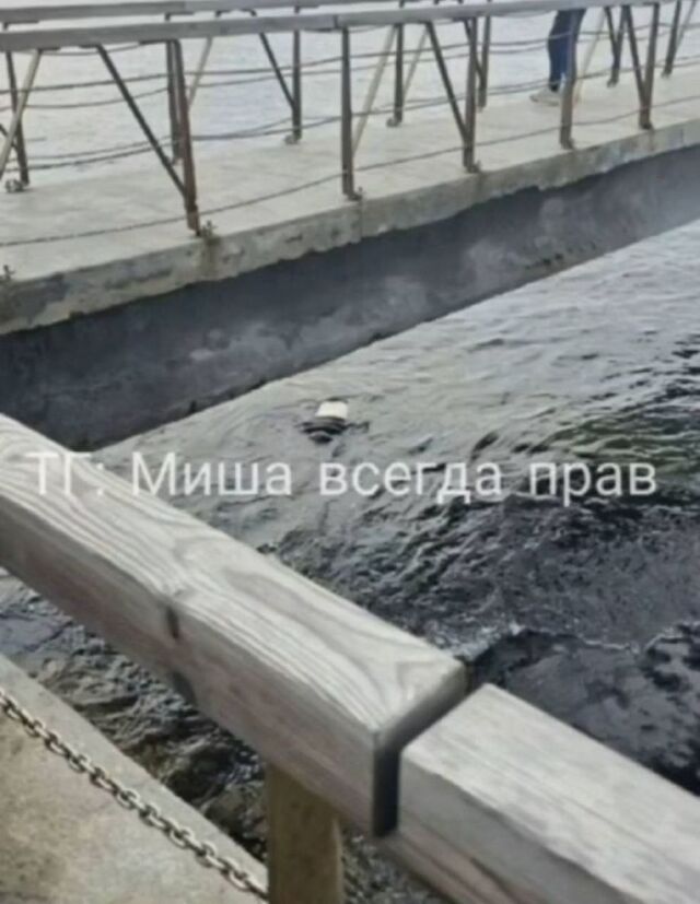 Волны прибили к берегу тело мужчины во Владивостоке: ведется расследование - PRIMPRESS, 16.11.2025