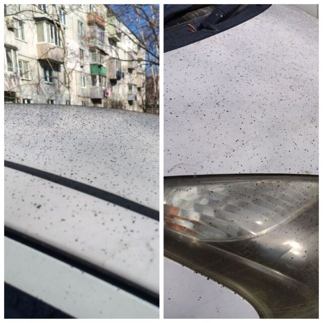 Котельная на Рыбацкой улице загрязняет воздух в Находке - PRIMPRESS, 16.11.2025