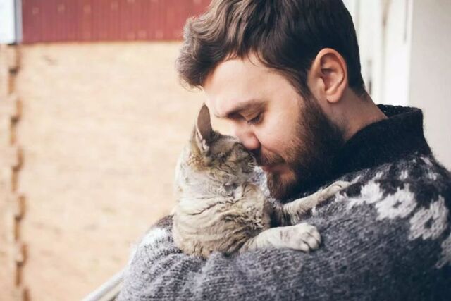 Почему кошки больше тянутся к мужчинам, а не женщинам — ответ вас удивит - PRIMPRESS, 19.11.2025