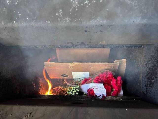 Тысячи гвоздик не дожили до 8 марта в Приморье - PRIMPRESS, 04.03.2026