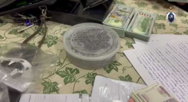 Икра, доллары и Rolex: в Приморье раскрыта крупная контрабанда - PRIMPRESS, 12.03.2026