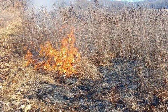 Приморье полыхает: огнеборцы ликвидировали серию природных пожаров за сутки - PRIMPRESS, 13.03.2026