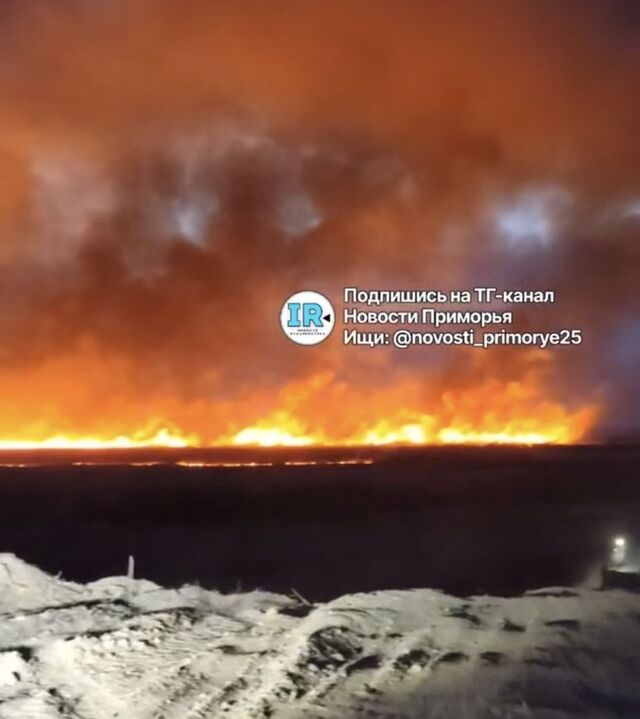 Страшный пожар бушует в районе Нежино: огонь подбирается к селу, пожарных пока нет - PRIMPRESS, 13.03.2026