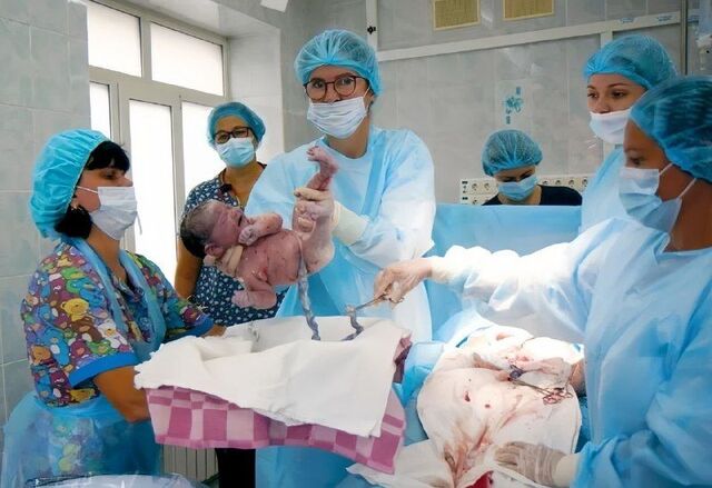 Настоящий богатырь появился на свет в Приморье - PRIMPRESS, 14.03.2026