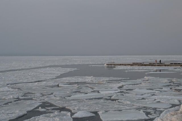 Экологическая катастрофа: Амурский залив во Владивостоке стал коричневым и воняет канализацией - PRIMPRESS, 14.03.2026