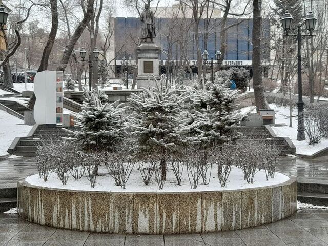 Сильный южный ветер принесёт во Владивосток дождь. Обещают даже со снегом - PRIMPRESS, 18.03.2026