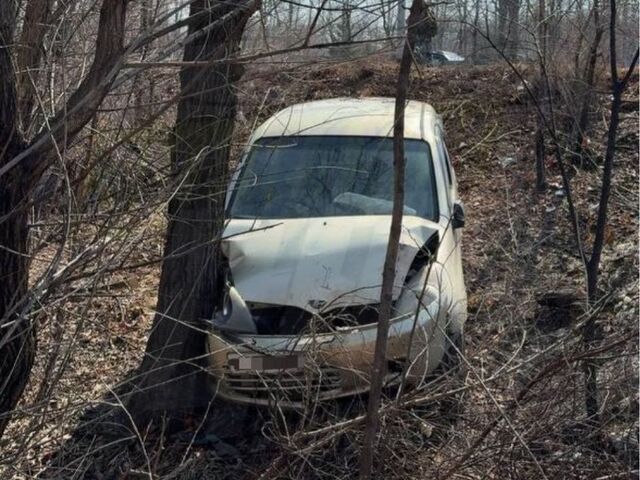Малолитражка слетела с дороги и врезалась в дерево во Владивостоке - PRIMPRESS, 23.03.2026
