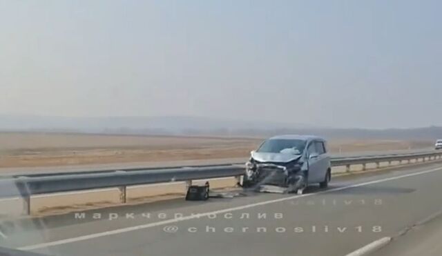 Ночная поездка закончилась трагедией с коровами на трассе в Приморье - PRIMPRESS, 23.03.2026