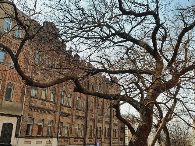 Настоящая весна пришла во Владивосток - PRIMPRESS, 23.03.2026