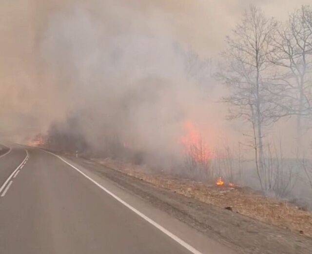 Хасанский округ Приморья продолжает выгорать тысячами гектаров - PRIMPRESS, 23.03.2026
