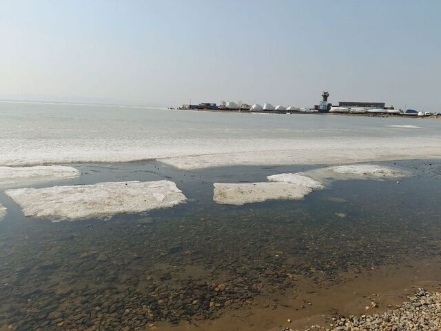 Синоптики назвали самые «горячие» города Приморья на этой неделе - PRIMPRESS, 24.03.2026