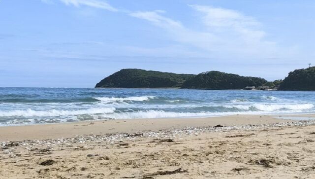 Самый популярный пляж Приморья получил «прокачанный» мобильный интернет Самый популярный пляж Приморья получил «прокачанный» мобильный интернет - PRIMPRESS, 10.04.2026