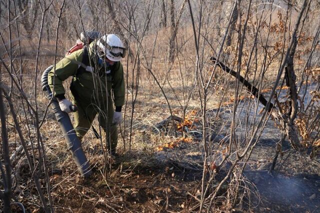 Один крупный природный пожар в Приморье не могут потушить уже сутки - PRIMPRESS, 14.04.2026