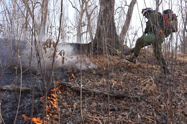Пожары выходят из-под контроля в Приморье: выгорело более 100 гектаров - PRIMPRESS, 17.04.2026