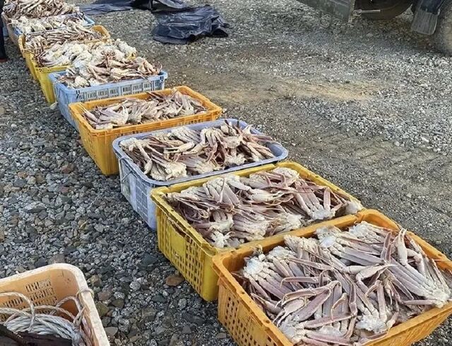 Приморские чекисты поймали браконьеров-краболовов - PRIMPRESS, 17.04.2026