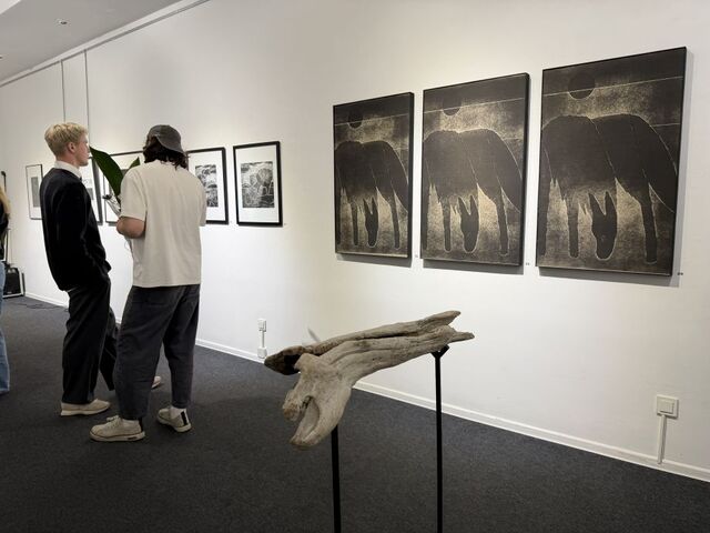 «Я позволяю чему-то происходить»: необычную выставку современного искусства представили во Владивостоке - PRIMPRESS, 18.04.2026