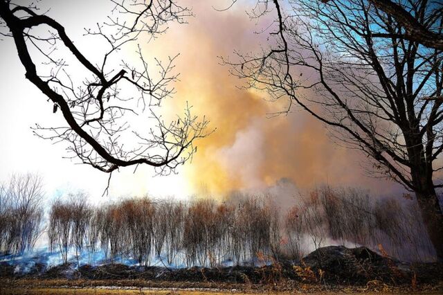 Природные пожары охватили 1300 гектаров в Приморье за выходные. Огонь угрожал домам - PRIMPRESS, 20.04.2026
