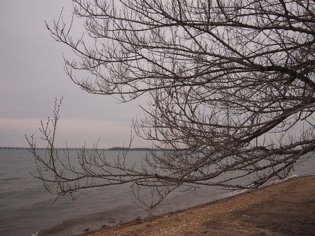 Холод и дождь во Владивостоке начались с понедельника - PRIMPRESS, 20.04.2026