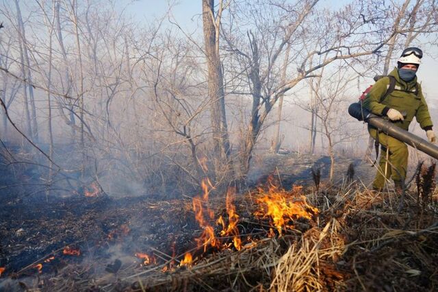 Дожди усмирили природные пожары в Приморье - PRIMPRESS, 22.04.2026