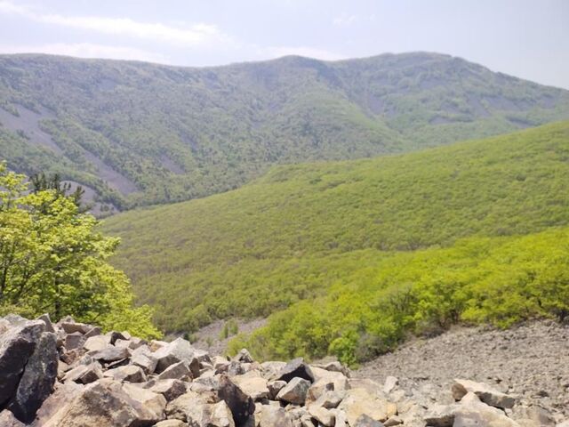 Погода побалует приморцев: синоптики сделали прогноз на майские праздники - PRIMPRESS, 28.04.2026