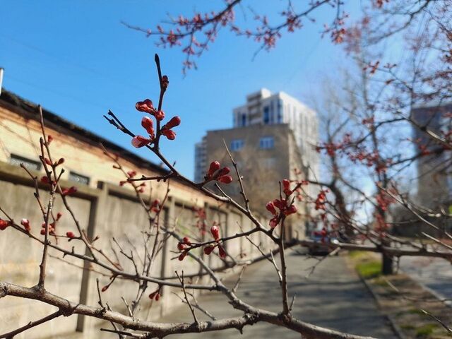Владивосток уверенно перешёл на сторону тепла - PRIMPRESS, 29.04.2026