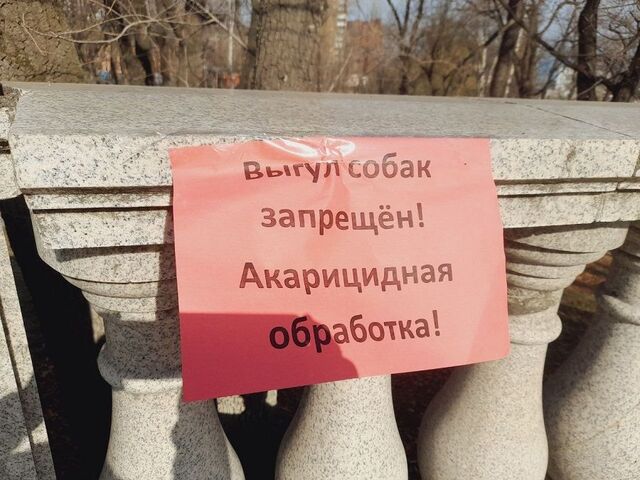 Весь Владивосток обрабатывают от клещей - PRIMPRESS, 29.04.2026