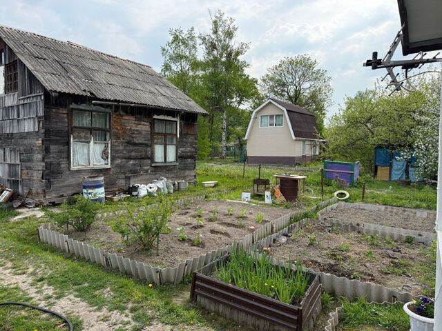 Молодые люди в Приморье скупают заброшенные дачи: новый тренд на рынке загородной недвижимости - PRIMPRESS, 17.05.2026