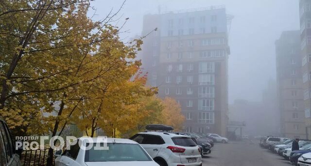 Длинные выходные в Нижегородской области начнутся с 2 градусов мороза и тумана Длинные выходные в Нижегородской области начнутся с 2 градусов мороза и тумана - Про Город Нижний Новгород | Новости области, 01.11.2025