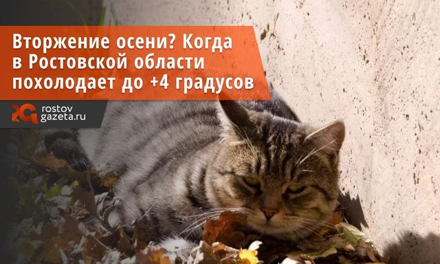 Что там у нас с погодой на конец сентября? - Ростов Газета | Новости Ростова-на-Дону, 27.09.2026