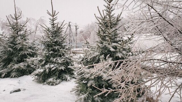 Снег, мороз и гололед: синоптики дали тревожный прогноз для Приморья на выходные Снег, мороз и гололед: синоптики дали тревожный прогноз для Приморья на выходные - Восток-Медиа | Новости Приморья и Владивостока, 07.11.2025