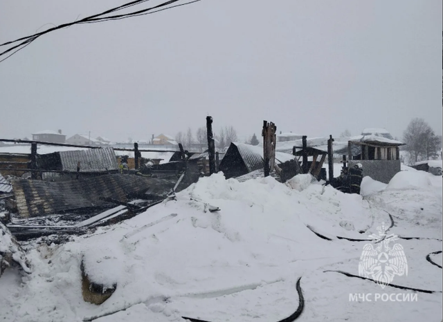 35 коров погибло в результате пожара в Володарске - Региональное информационное агентство «Время Н», 22.02.2026