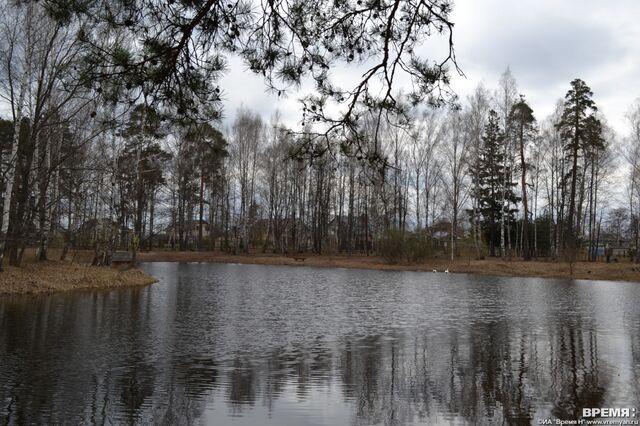 Охранные зоны установлены вокруг трёх памятников природы в Нижегородской области Охранные зоны установлены вокруг трёх памятников природы в Нижегородской области - Региональное информационное агентство «Время Н», 24.02.2026