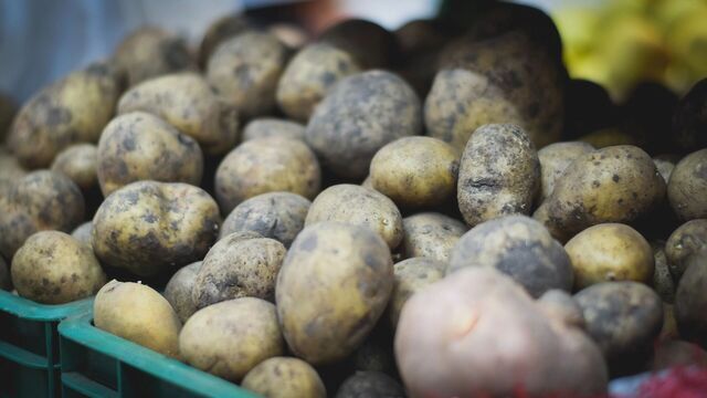 Названы самые подрожавшие продукты за месяц в Башкирии - Новости Уфы и Башкирии - Медиакорсеть, 14.03.2025