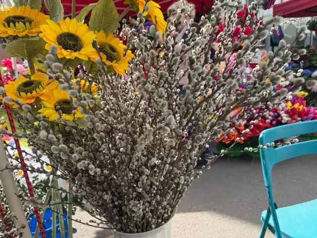 В Ростове за год цены на вербу поднялись на 40% - Новости Ростова|DonDay, 30.03.2026