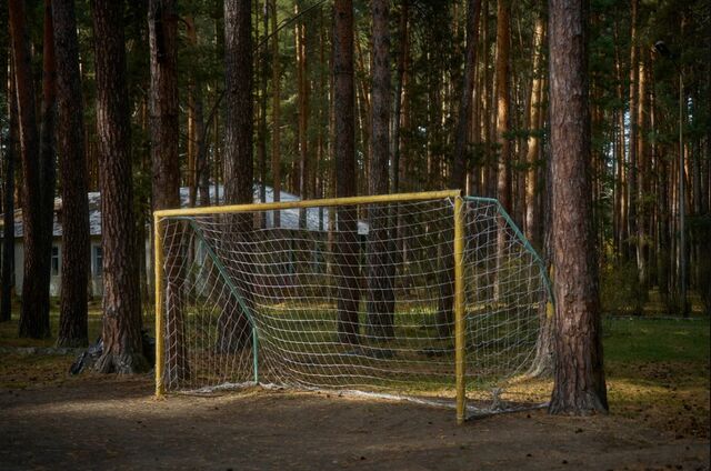 В деревне Потаскуева закрыли потасканный детский лагерь - 66.ru — Городской портал Екатеринбурга, 04.06.2026