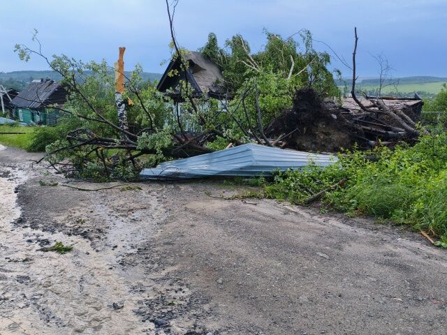 Число пострадавших от смерча в Кушве выросло - 66.ru — Городской портал Екатеринбурга, 23.06.2026