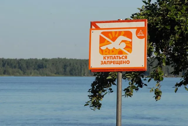 Полицейские выйдут на охоту за купающимися в водоемах подростками - 66.ru — Городской портал Екатеринбурга, 07.07.2026