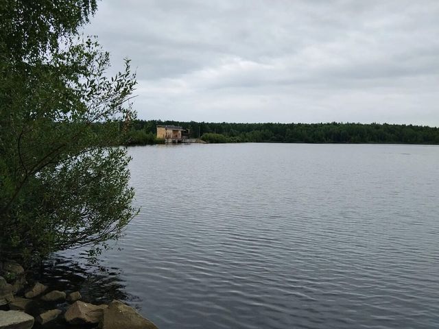 В уральском городе в питьевой воде нашли превышение аммиака и других смертельно опасных веществ - 66.ru — Городской портал Екатеринбурга, 19.07.2026