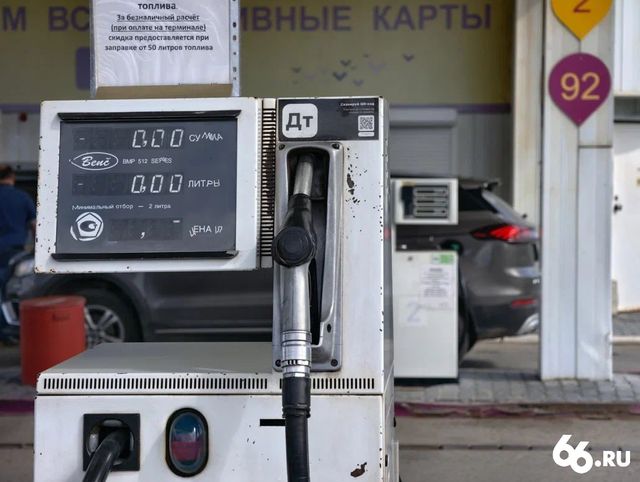 Ученые придумали добывать топливо из водорослей - 66.ru — Городской портал Екатеринбурга, 20.07.2026