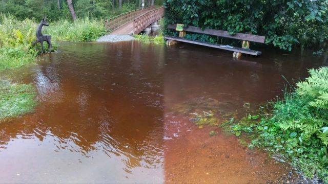 Паводок затопил природный парк под Екатеринбургом - 66.ru — Городской портал Екатеринбурга, 22.07.2026
