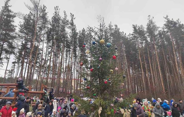 В Воронеже состоялось открытие обновленного парка имени Северцова - Леди.Врн, 28.12.2024