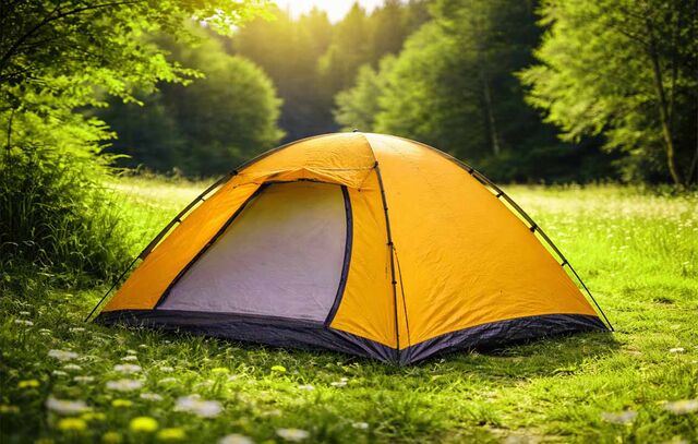 В Воронежской области этим летом откроют больше палаточных и пришкольных лагерей - Леди.Врн, 27.02.2026