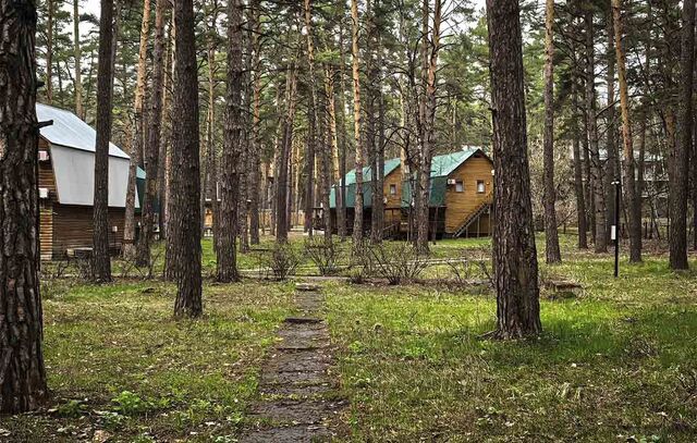 С начала года более 1,2 тысячи жителей Воронежской области получили путевки в санатории - Леди.Врн, 19.05.2026