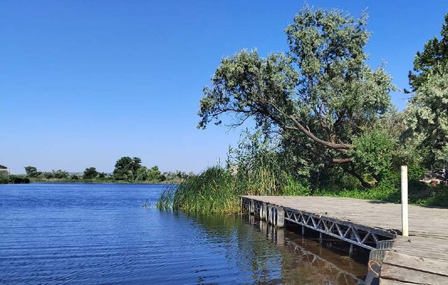 В Воронежской области выявили несоответствия качества воды на ряде пляжей - Леди.Врн, 21.06.2026