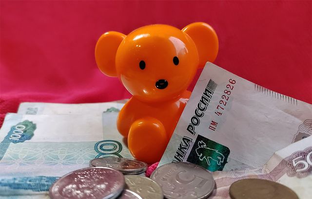 В Воронежской области заявки на маткапитал стали рассматривать в среднем за четыре дня - Леди.Врн, 13.08.2026